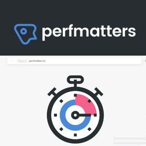 Perfmatters – Lightweight WordPress Performance Plugin
