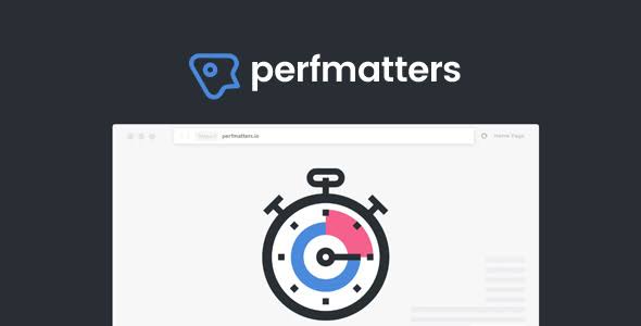 Perfmatters – Lightweight WordPress Performance Plugin - بخصم يصل لأكثر ...